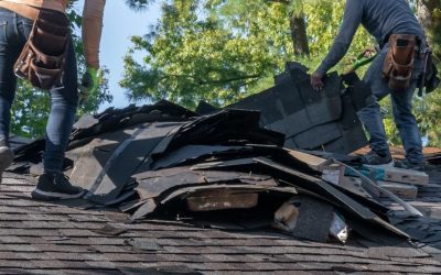 Types of Storm Damage To Watch Out For