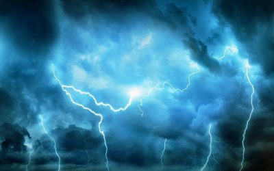 What You Should Do After a Storm