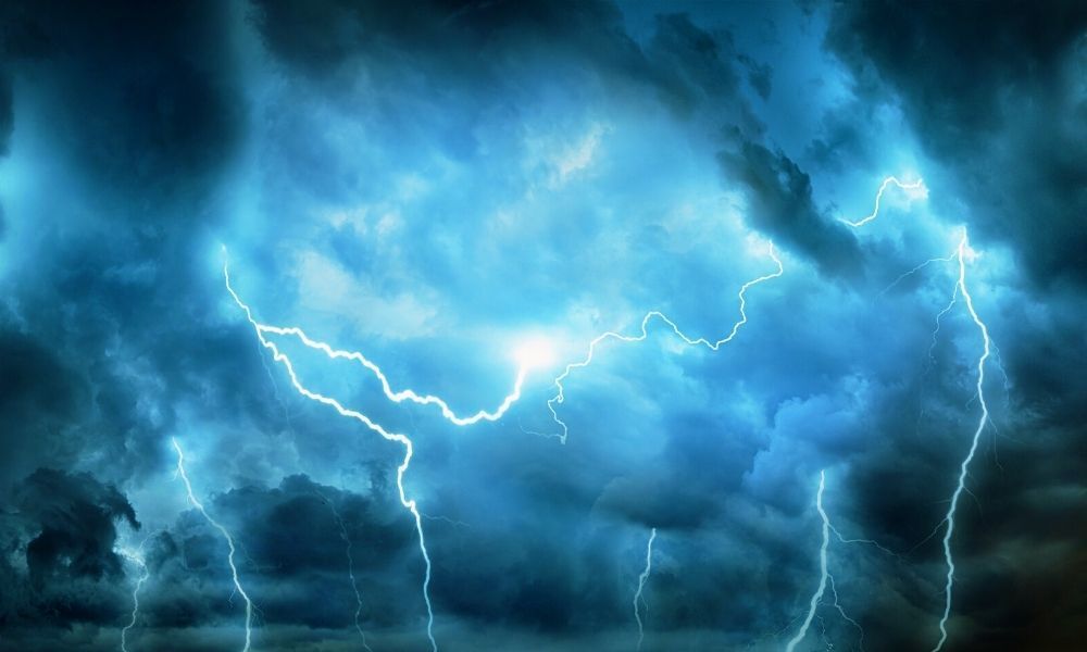 What You Should Do After a Storm