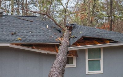 How To Find Storm Damage Contractors in Minnesota