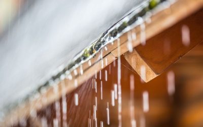 Different Ways Water Can Damage Your Roof