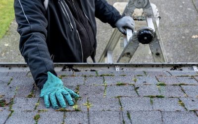 What Are the Signs of Water Roof Damage?