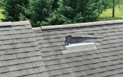 Most Common Types of Roof Damage and Their Causes