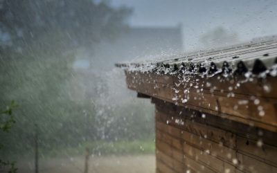 How Different Types of Weather Affect Your Roof