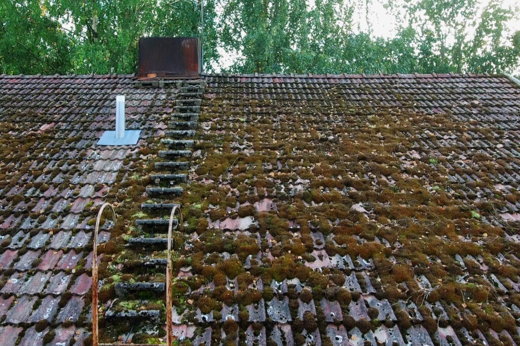 How Long Does a Roof Last: Factors Affecting Your Roof’s Lifespan