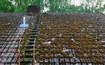 How Long Does a Roof Last: Factors Affecting Your Roof’s Lifespan