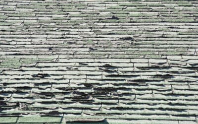 Why Is Your Shingle Curling?
