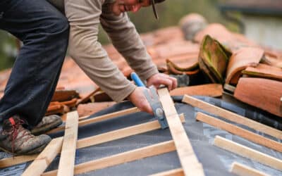 Everything You Need to Know About Roof Maintenance