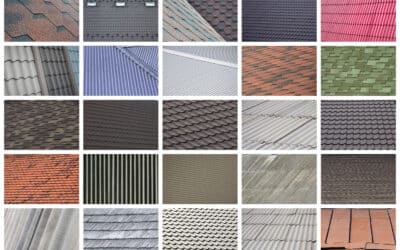 A Guide to The Best Shingles