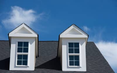 Roof Cricket: Things To Keep In Mind