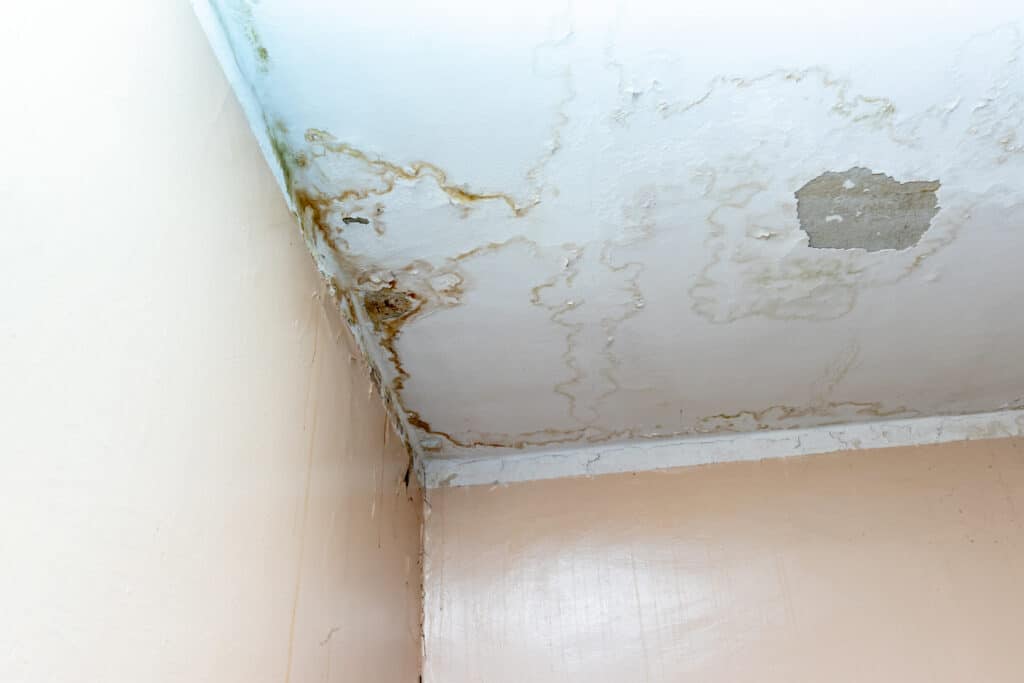 How To Stop Roof Leaks in 6 Easy Steps