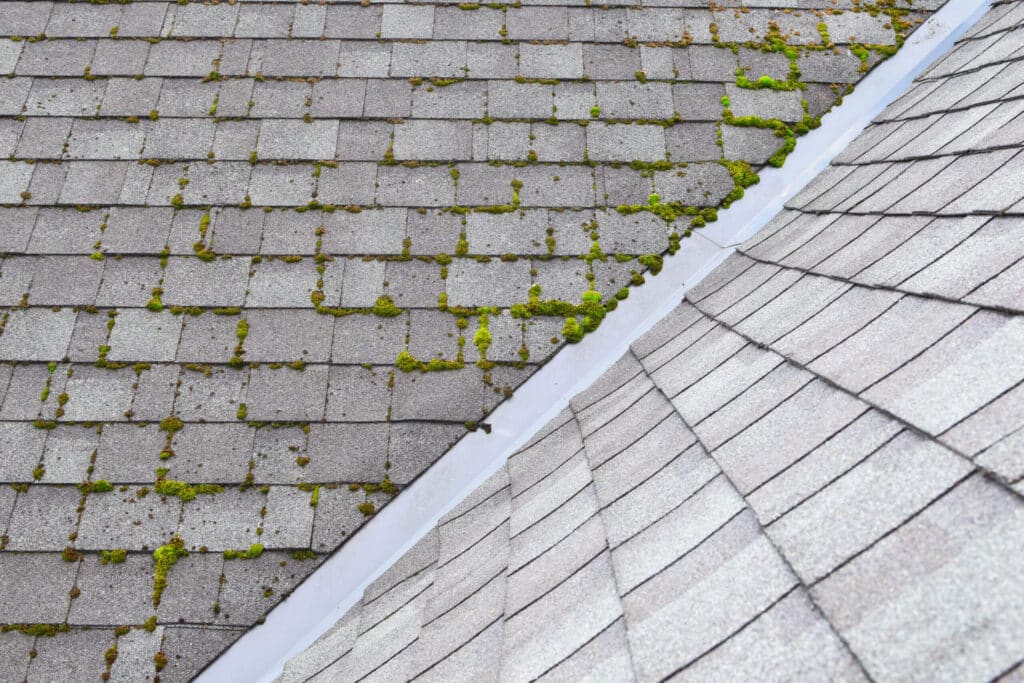 All You Need to Know On How to Clean Roof Shingles