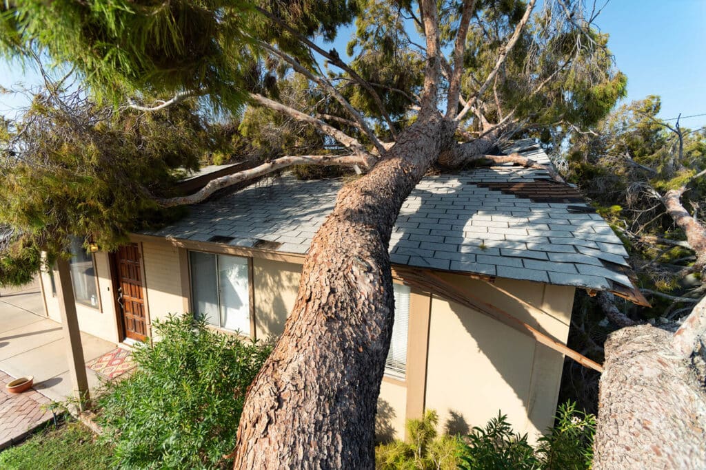 Navigating Roof Insurance Claims: A Comprehensive Guide for Homeowners