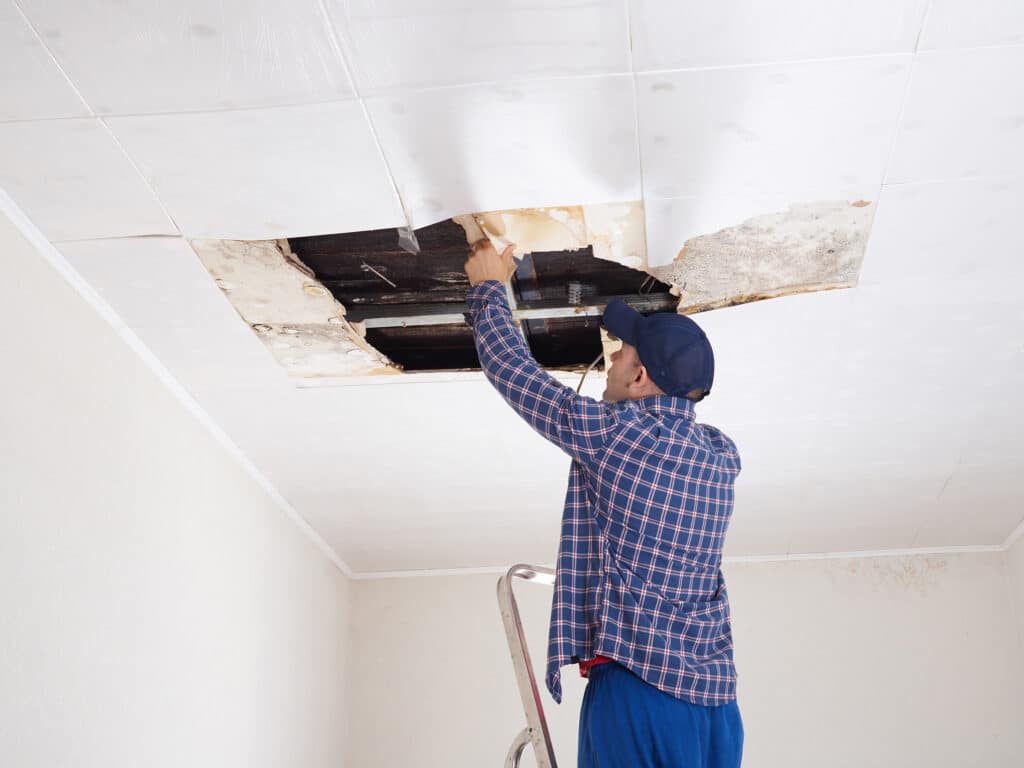 Roof Leak Detection: A Homeowner’s Guide